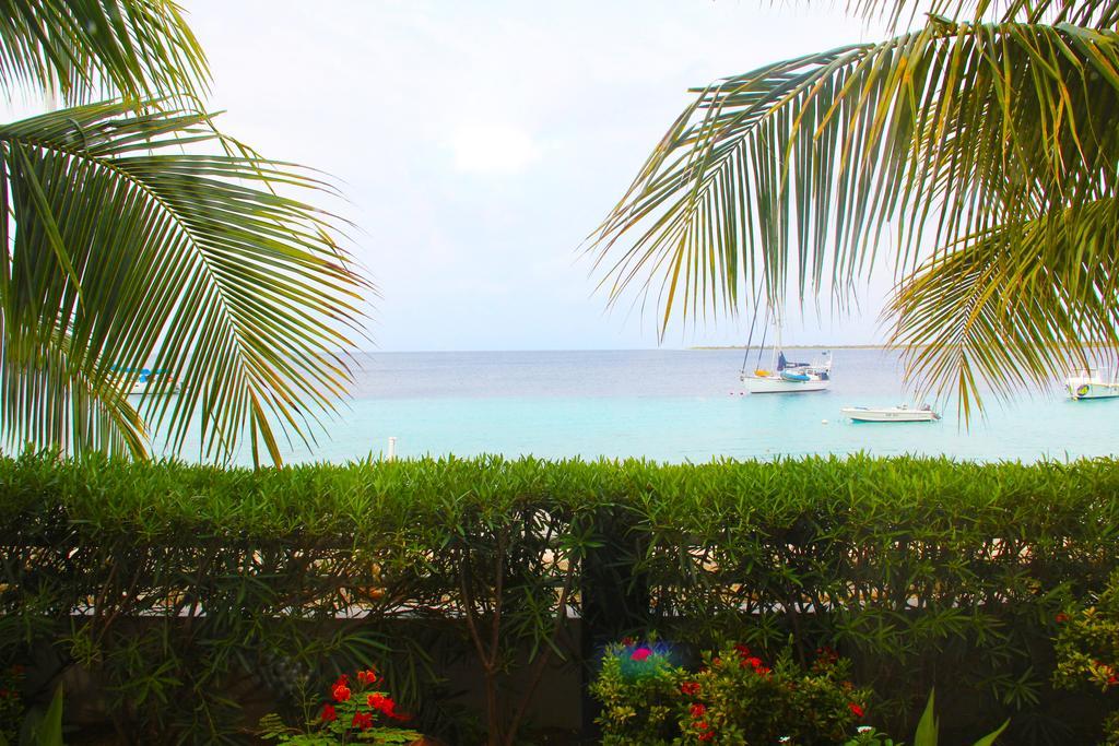 Bonaire Seaside Apartments Dış mekan fotoğraf