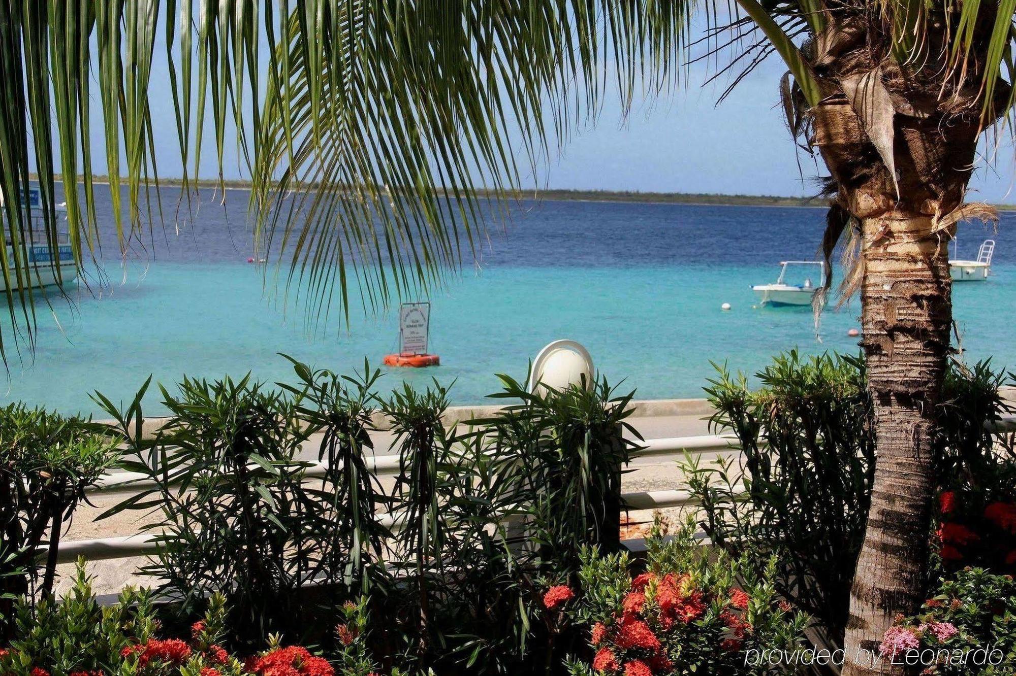 Bonaire Seaside Apartments Konforlar fotoğraf