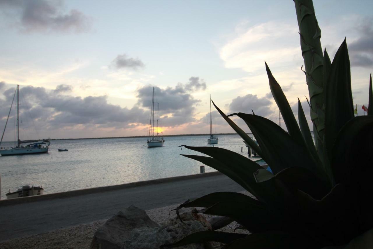 Bonaire Seaside Apartments Dış mekan fotoğraf
